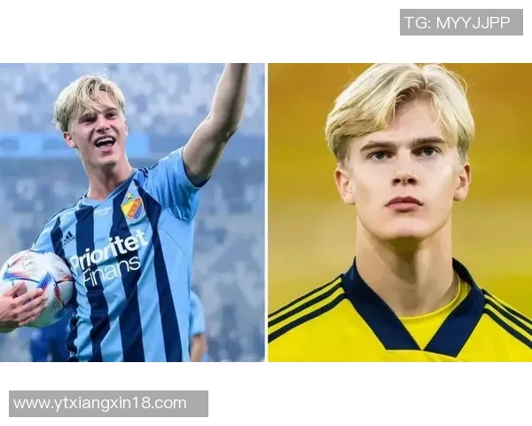 回顾1995年瑞典足球明星的辉煌历程与成就分析 回顾1995年瑞典足球明星的辉煌历程与成就分析