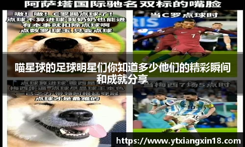 betway必威西汉姆联官网